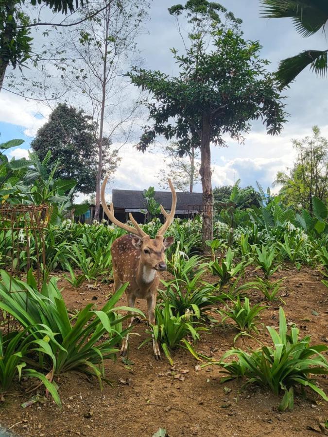 Villa Vimala Hills Semeru Богор Экстерьер фото